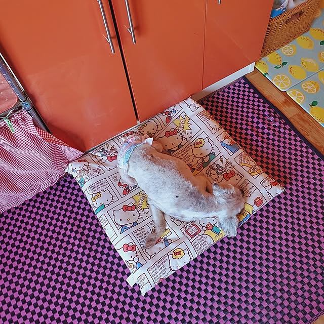 kumutanさんの部屋