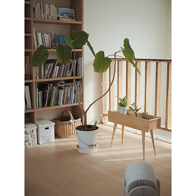 run_cafeさんの実例写真