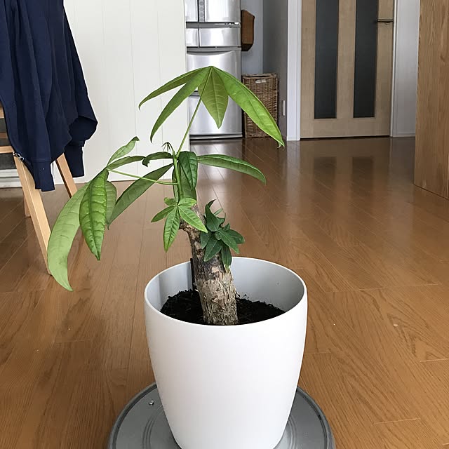 pontaさんの実例写真