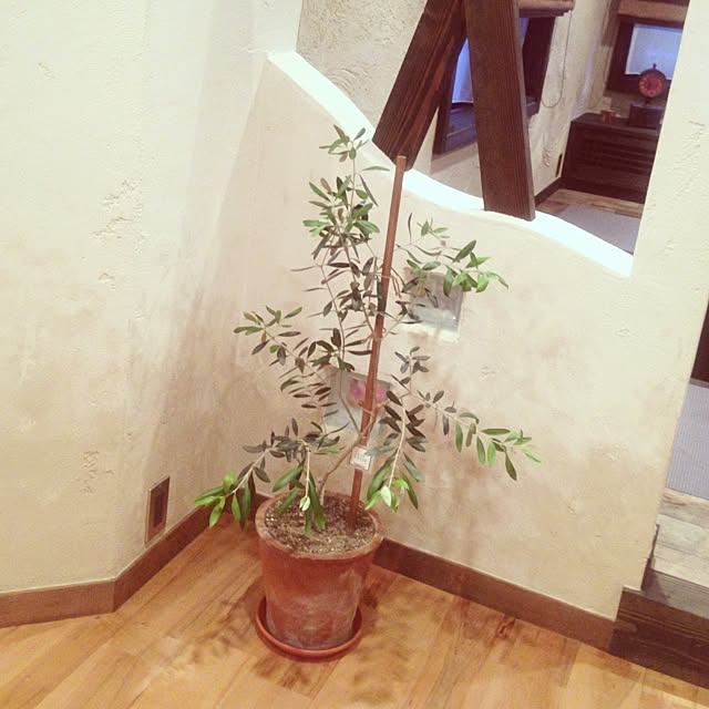 Hirotoshiさんの実例写真