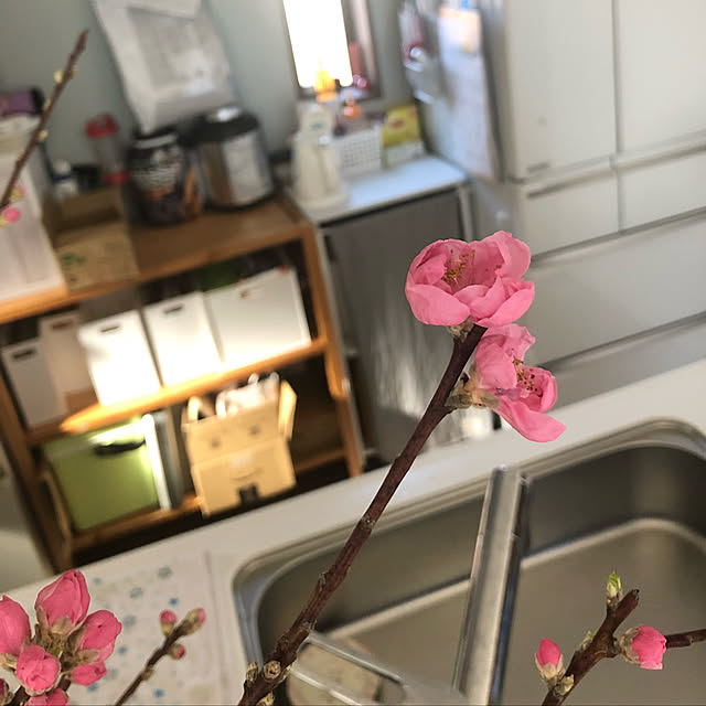 chacoさんの実例写真