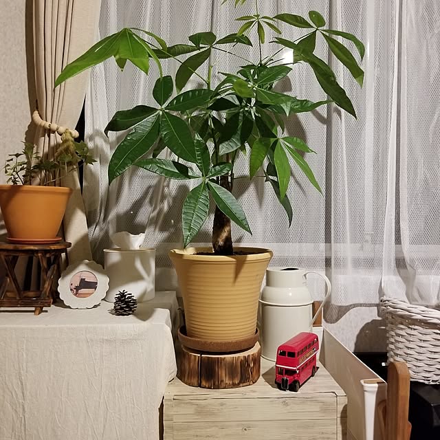 midoriさんの部屋
