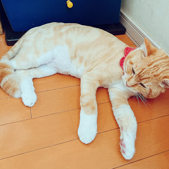 moolさんの部屋