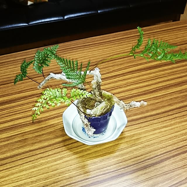 takenさんの実例写真