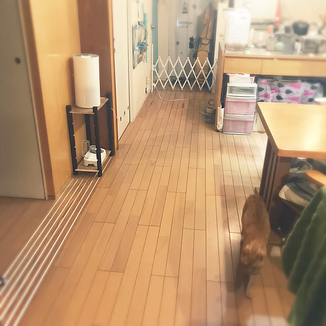 kou-kitiさんの実例写真
