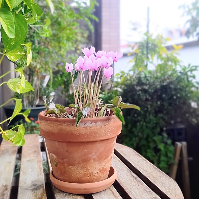 YuriYuriさんの部屋