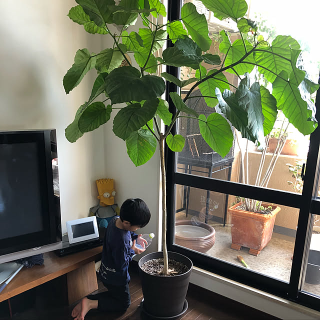 Naochanhoikuenさんの実例写真