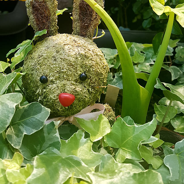 GreenHomeさんの実例写真