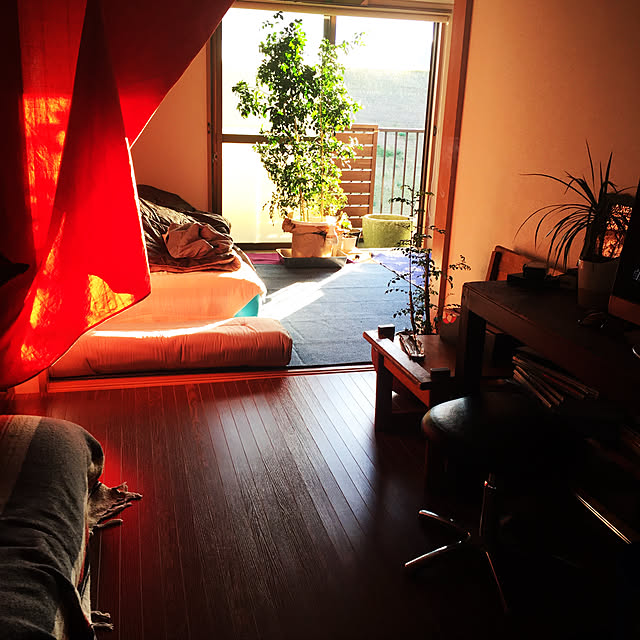 blklabmkkさんの実例写真