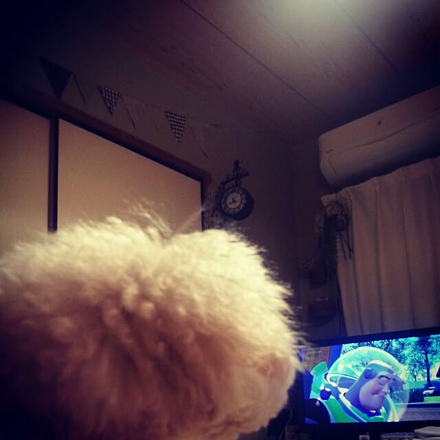 kazuyonさんの実例写真