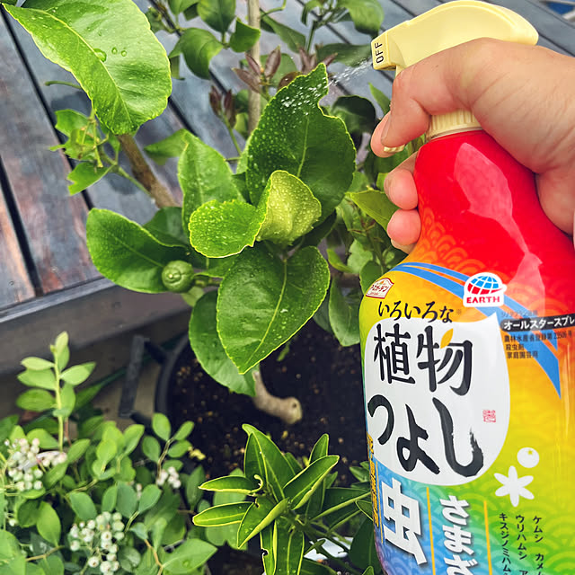 Mikiさんの実例写真