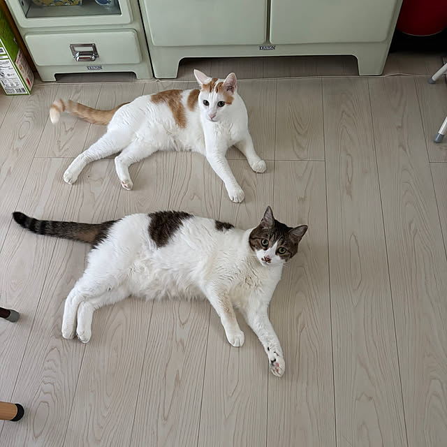 arayanさんの部屋