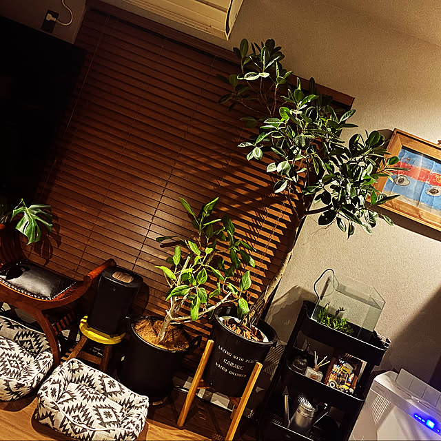 akiraburinさんの実例写真