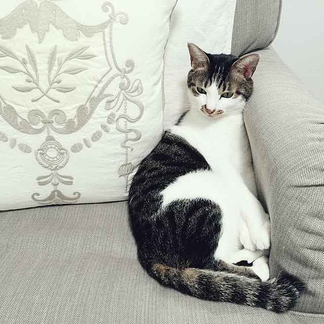 yuchiさんの実例写真