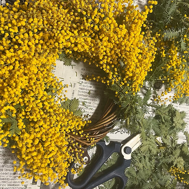 ha_ru76さんの部屋