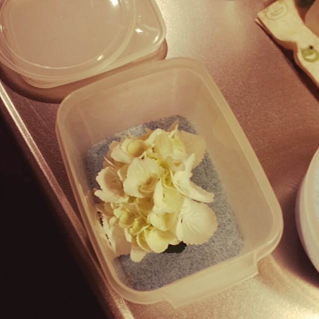 Naomiさんの実例写真