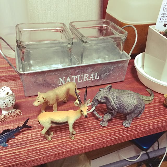 M29さんの実例写真