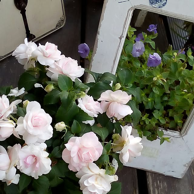 mariagardenさんの実例写真