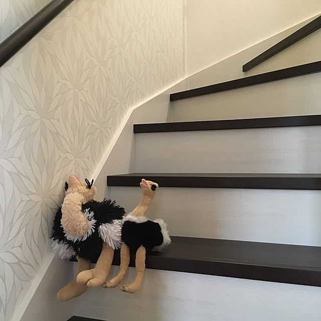 yuyuさんの実例写真