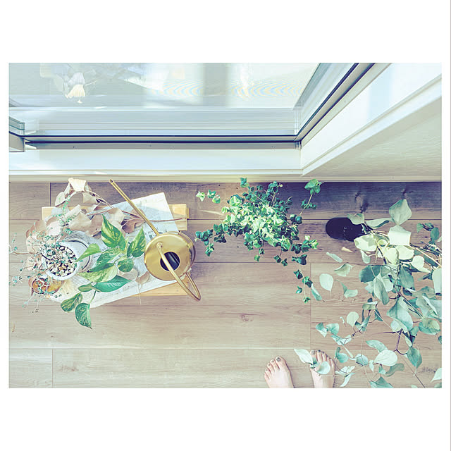 観葉植物/雑貨/ナチュラル/部屋全体のインテリア実例 - 2019-12-26 22:39:17