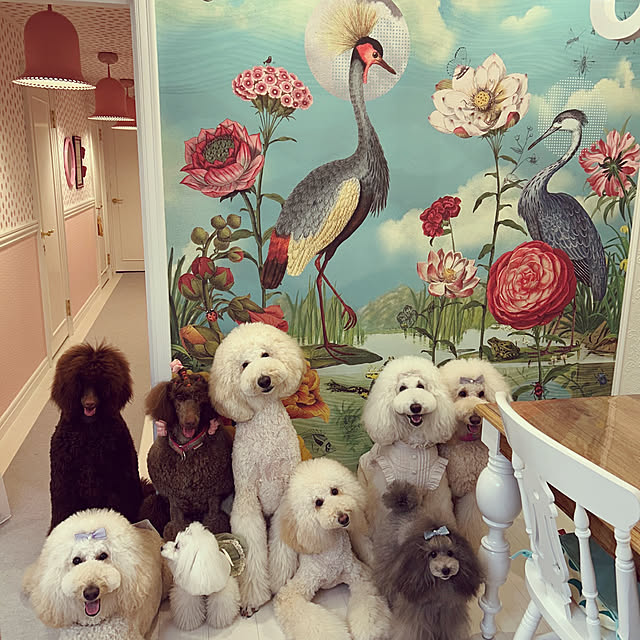 nackeyさんの部屋