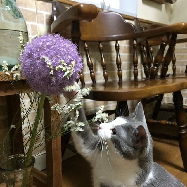 mucc08さんの実例写真