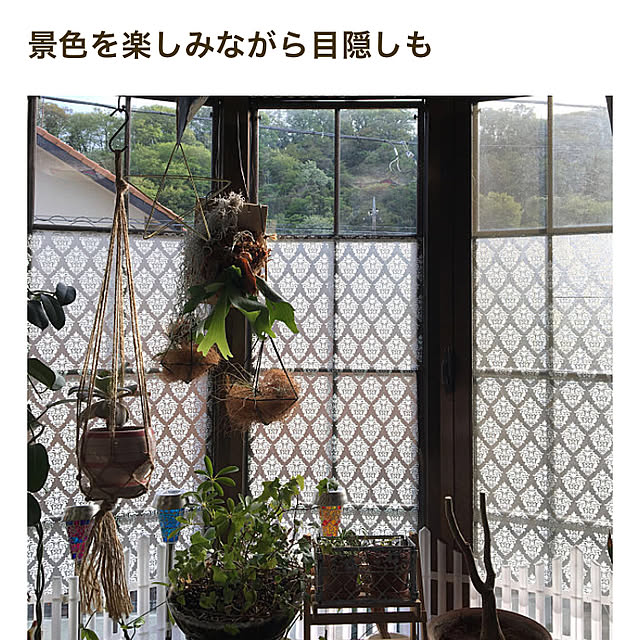 dainaoreiさんの実例写真