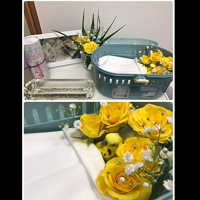qooguriさんの実例写真