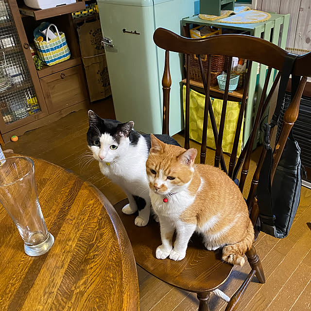 SHIHOさんの実例写真