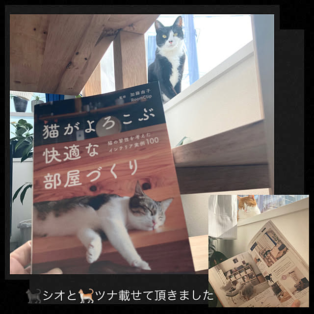 mako2yaさんの実例写真