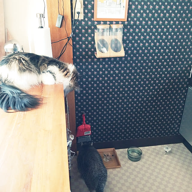 neoさんの実例写真