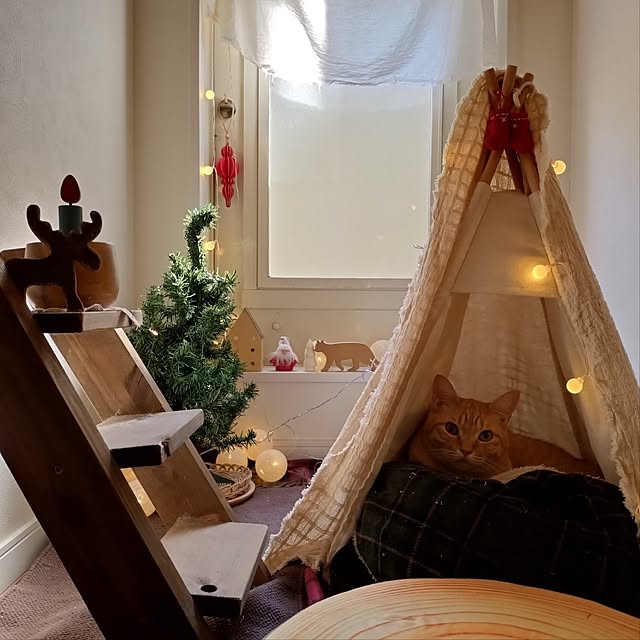 mayutan.さんの部屋