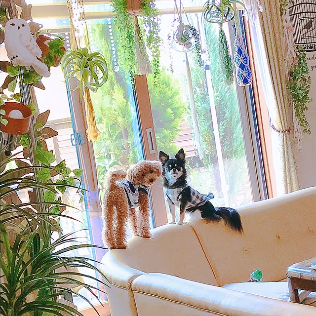 xigyanさんの実例写真