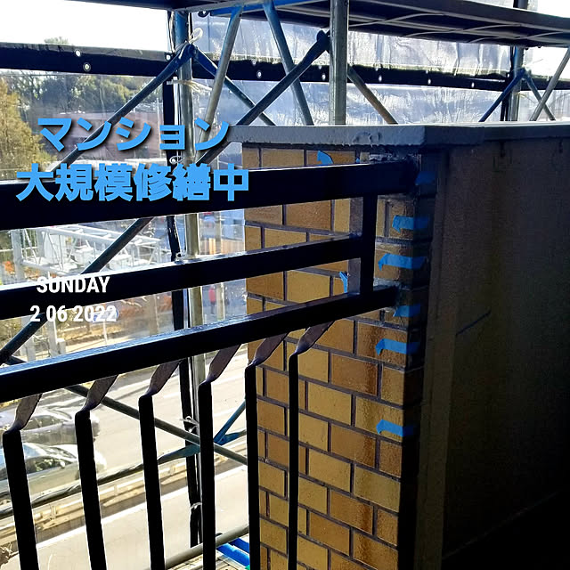 takoさんの実例写真
