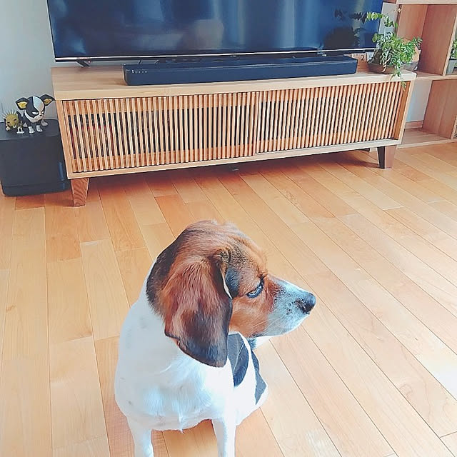 commoさんの実例写真