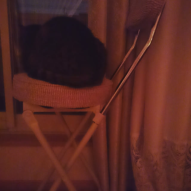 lilyさんの実例写真