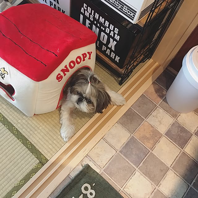 ANNAさんの実例写真
