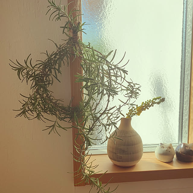 tarvi_meriさんの実例写真