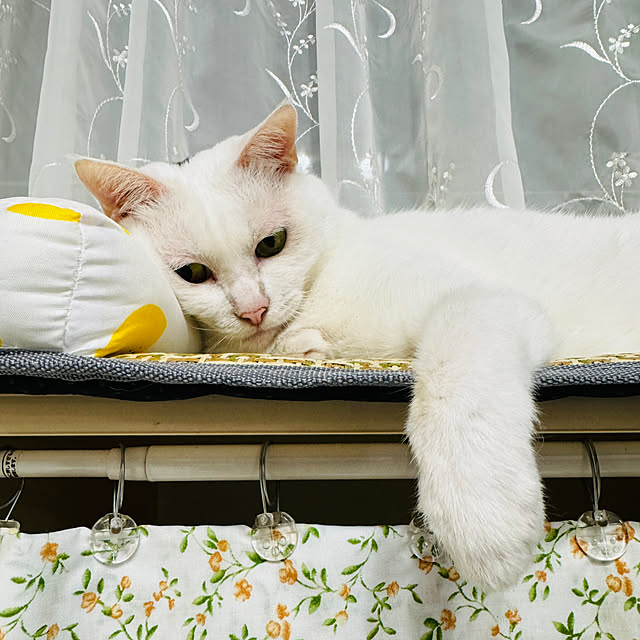 pcu110さんの実例写真