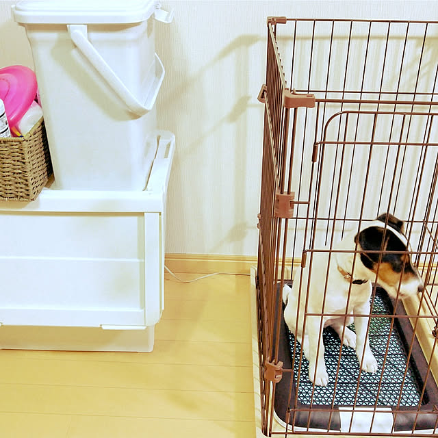 ponyofthefirstさんの実例写真