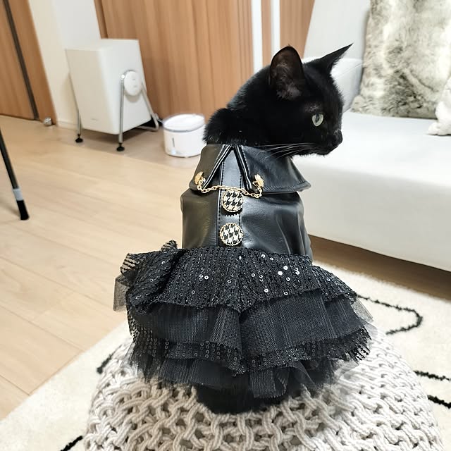 sakuraさんの実例写真