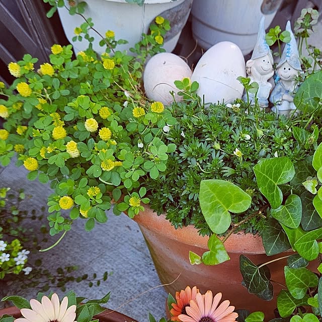 mocomocoさんの部屋