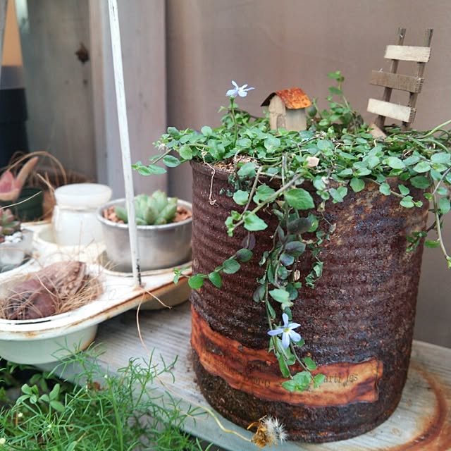 kokkomachaさんの実例写真