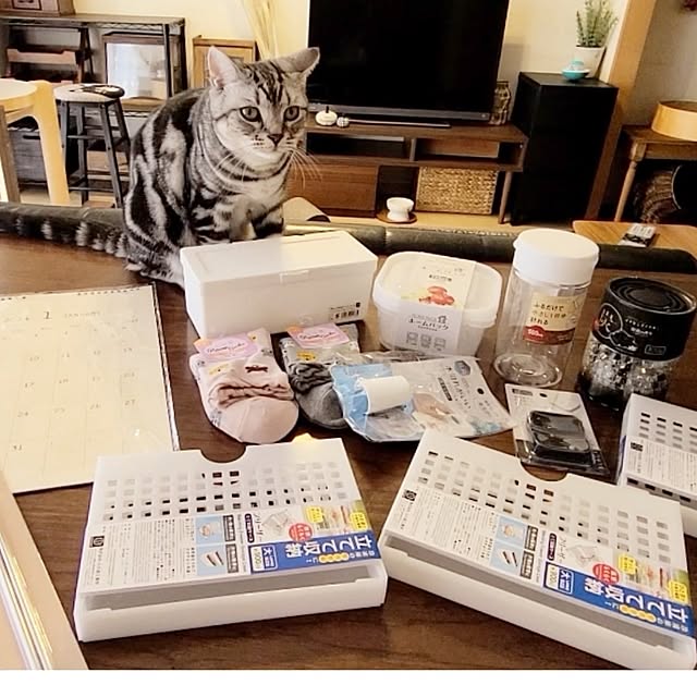 lovepeaceさんの部屋