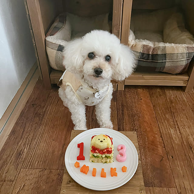 akko1205さんの実例写真