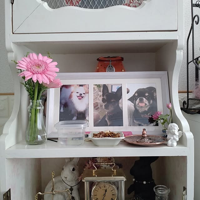 Bienvenueさんの部屋