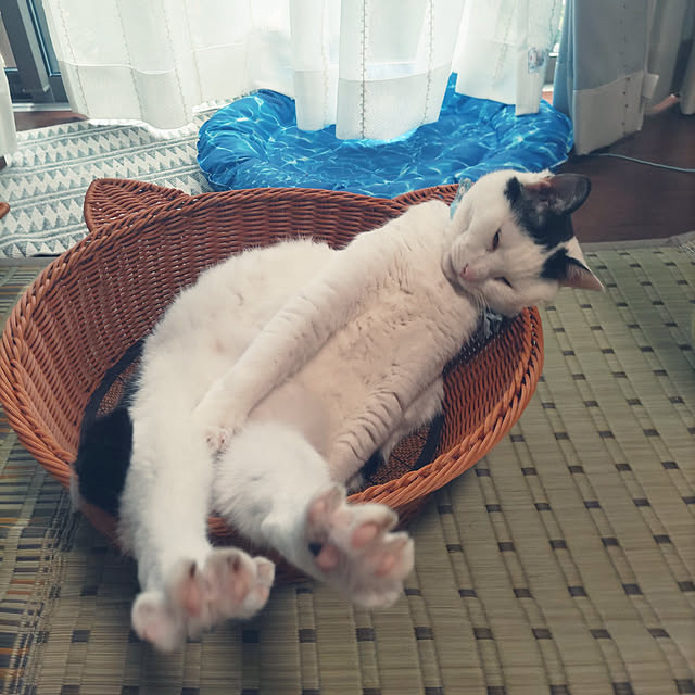 yuuさんの実例写真
