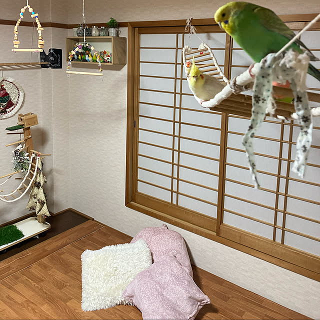 toratanさんの実例写真
