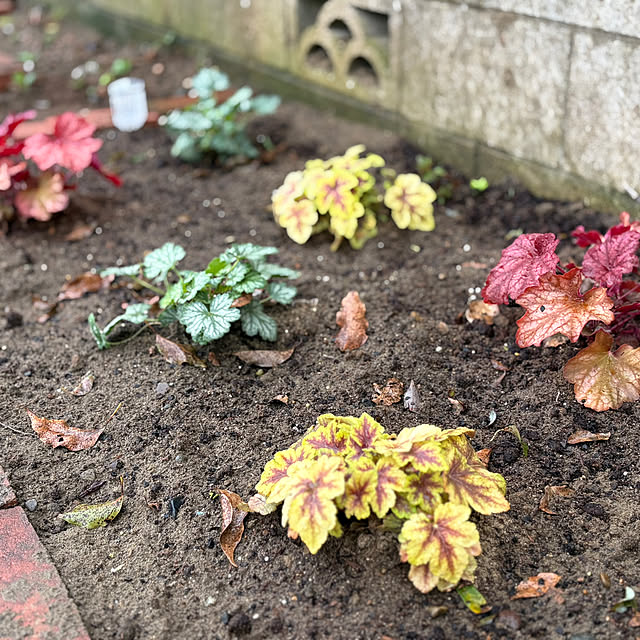 akkeyさんの部屋