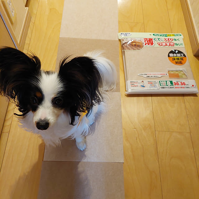 manaさんの実例写真